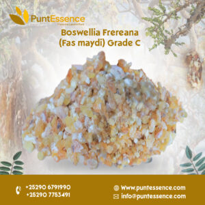 Boswellia Frereana Grade C (Xabag Maydi)