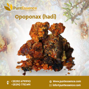 Opoponax (Hadi)