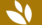 Punt Essence LTD